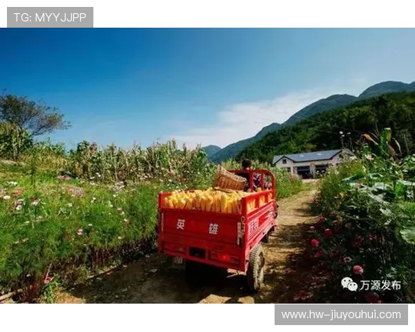 细数武汉小锅传奇绿茵征程与难忘辉煌生涯发展全景深度回顾纪实篇